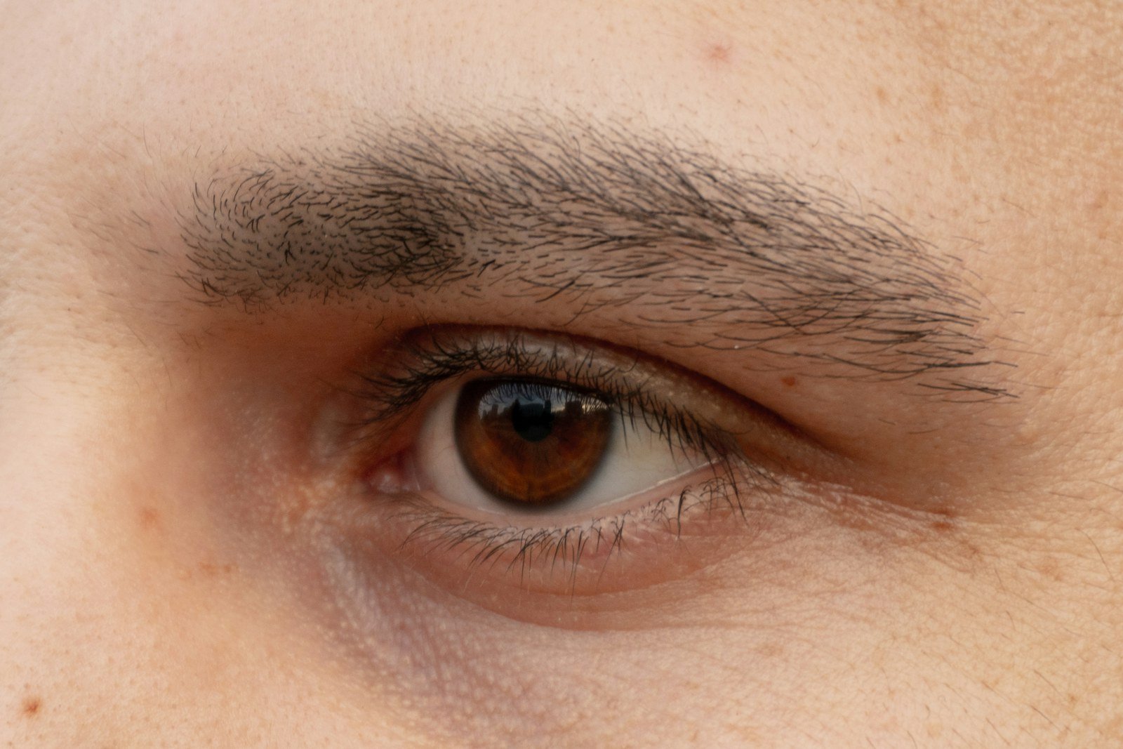 Sobrancelha masculina grossa e natural vista de perto, acima de um olho castanho