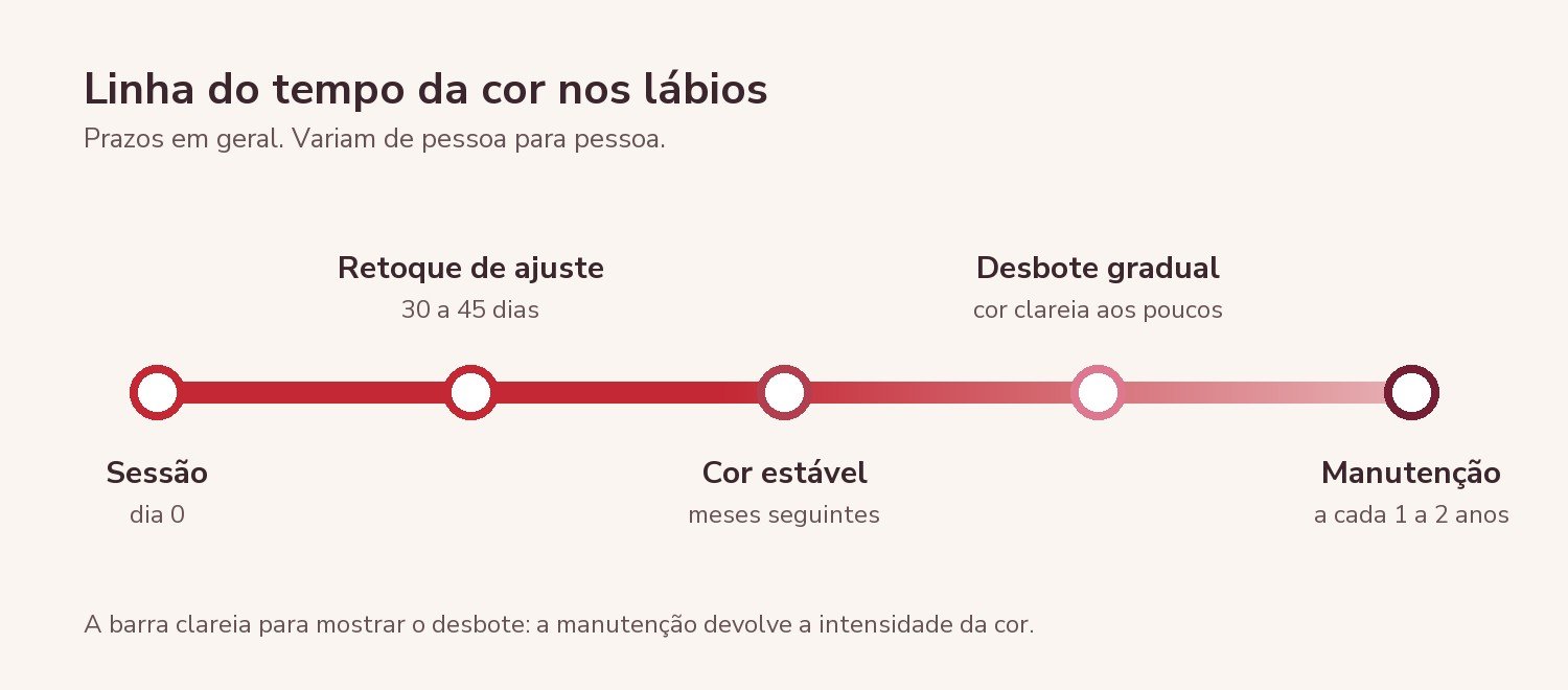 linha do tempo de quanto tempo dura a micropigmentação labial: sessão, retoque, cor estável, desbote e manutenção